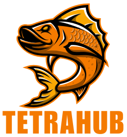 TETRAHUB